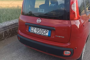 Panda Hybrid 