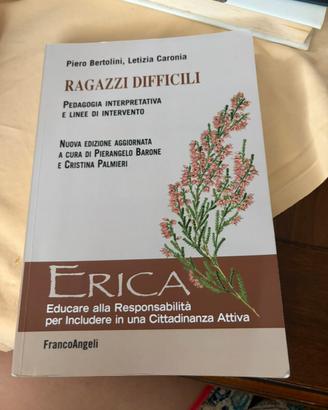 Ragazzi difficili