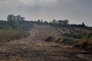 Terreno via dei luppoli sciacca