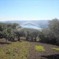 Terreno panoramico con fabbricato