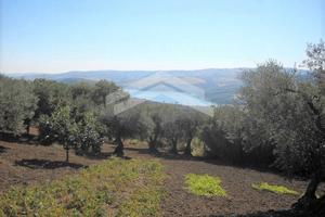 Terreno panoramico con fabbricato