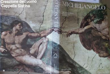 MICHELANGELO-architettura, scultura,pittura