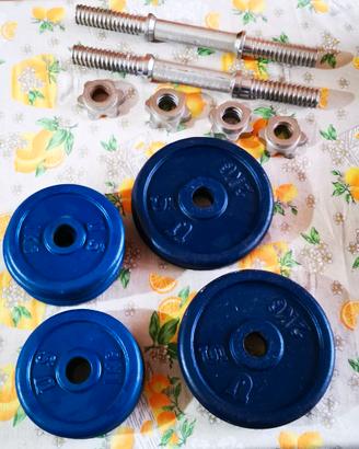 Manubri in acciaio cromato e Pesi in ghisa