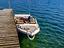 Immagine 6