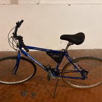 Bici Extreme Shadow (revisionata)
