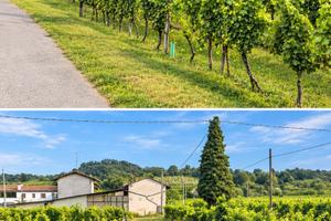 Terreno agricolo ed edificabile a Faedis