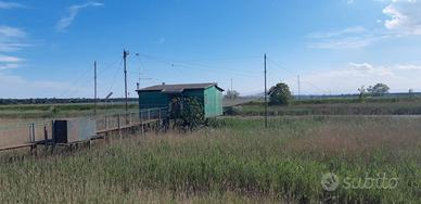 Quota capanno pesca marina romea fiume lamone