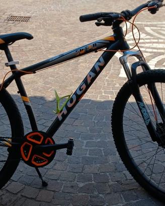 bicicletta