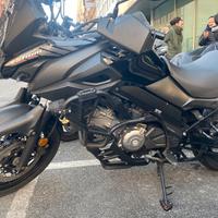 Paramotore v strom 650