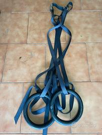 Anelli da ginnastica