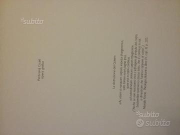 Opera grafica di Pierbrandj Cicale