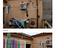 Immagine 7