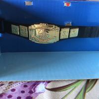 Intercontinental Heavy Weight Champion Wrestling