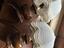 Immagine 4