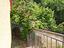Immagine 28