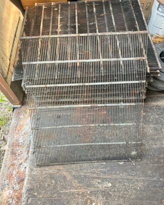 Escludi regina per apicoltura