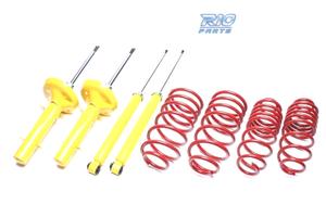 SOSPENSIONE SPORTIVA RENAULT MEGANE SCENIC 2003-20