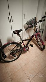 Bici 24'