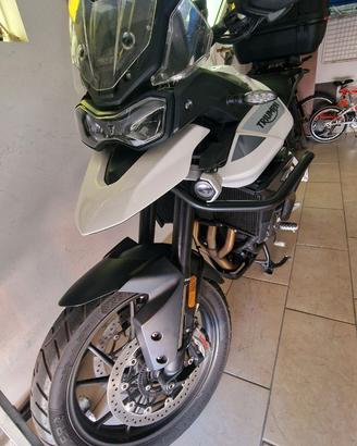 moto tiger 900 gt pro triumph
