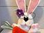 Immagine 6