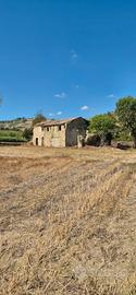 rudere con terreno