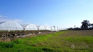 TER. AGRICOLO A EBOLI