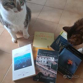 Paulo Coelho. KAMASUTRA 