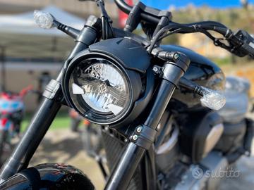 Benda Chinchilla 500 & Napoleon 500 - 2026 Intera 