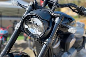 Benda Chinchilla 500 & Napoleon 500 - 2026 Intera 