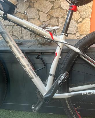 Mtb focus 29