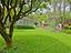 Immagine 29