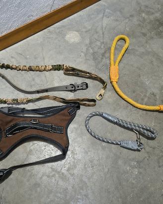 Set Guinzagli e collare per cani