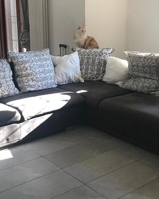 Divano angolare con chaise longue