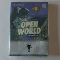 Open World B2 italian edition
