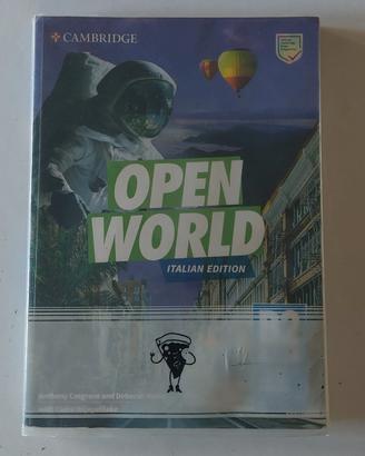 Open World B2 italian edition