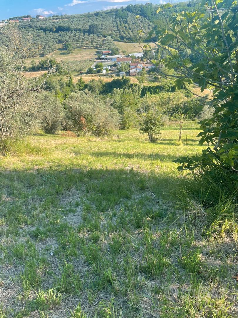 terreno 2 ettari Loreto Aprutino zona Colle Palma - Vista 3