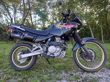 Honda Dominator 650