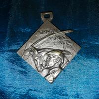 Medaglia Alpini " Sempre verso l'Alto "