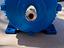 Immagine 3