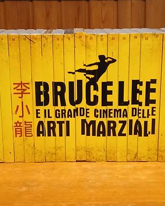 serie completa 40 dvd bruce lee 