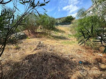 Rif.RI485| area edificabile staletti