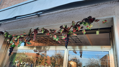 Addobbo autunnale ramo di vite con uva