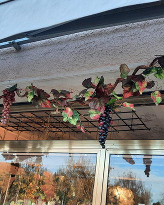 Addobbo autunnale ramo di vite con uva