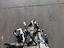 Immagine 10
