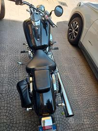 Honda VT 750 Black widow