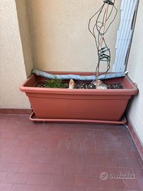 Vaso con terra da un metro circa