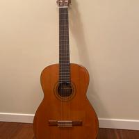 Chitarra Suzuki G 104