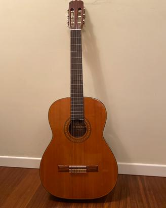 Chitarra Suzuki G 104
