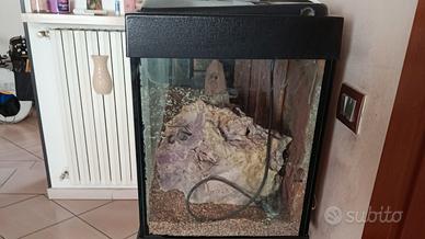 acquario 