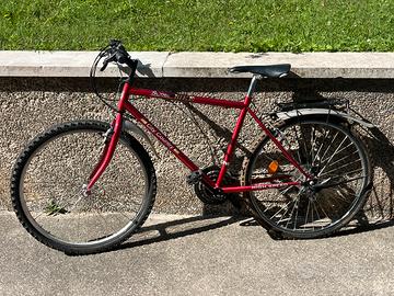 Bici da città rossa